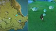 Anemo Slimes, East of Liyue